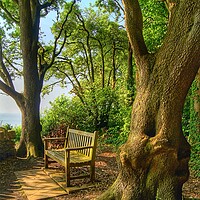 Buy canvas prints of Swanage Bench by Darren Galpin