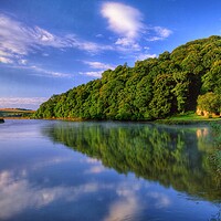 Buy canvas prints of River Tamar at Cotehele Quay by Darren Galpin