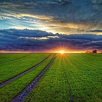 Buy canvas prints of Penny Hill Farmland Sunset by Darren Galpin