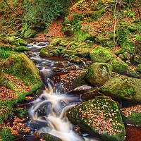 Buy canvas prints of Padley Gorge Waterfall   by Darren Galpin