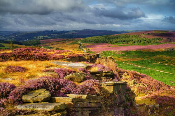 Burbage Rocks and Valley in Summer Picture Board by Darren Galpin