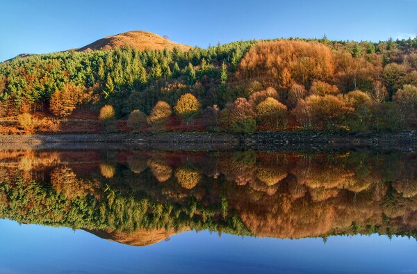 Ladybower Reflections  Picture Board by Darren Galpin