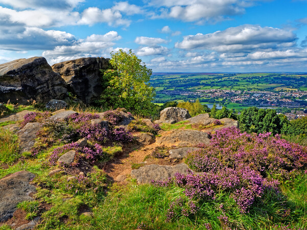 Surprise View at Otley Chevin  Picture Board by Darren Galpin