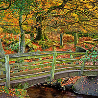 Buy canvas prints of Padley Gorge Footbridge by Darren Galpin