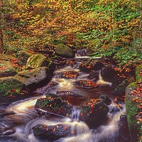 Buy canvas prints of Padley Gorge Waterfall   by Darren Galpin