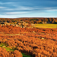 Buy canvas prints of Owler Tor and Longshaw by Darren Galpin