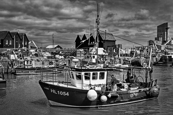 Catch of the Day at Whitstable Harbour  Picture Board by Darren Galpin