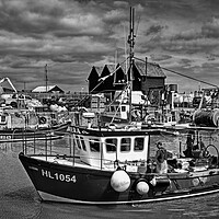 Buy canvas prints of Catch of the Day at Whitstable Harbour  by Darren Galpin
