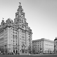Buy canvas prints of Royal Liver Building by Darren Galpin