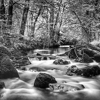 Buy canvas prints of River Yealm at Yealmpton by Darren Galpin