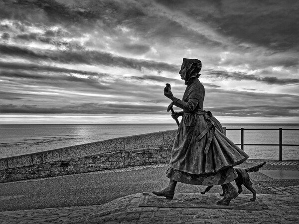 Mary Anning Statue, Lyme Regis  Picture Board by Darren Galpin