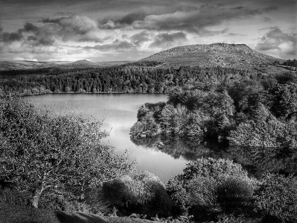 Burrator Reservoir and Sheeps Tor    Picture Board by Darren Galpin