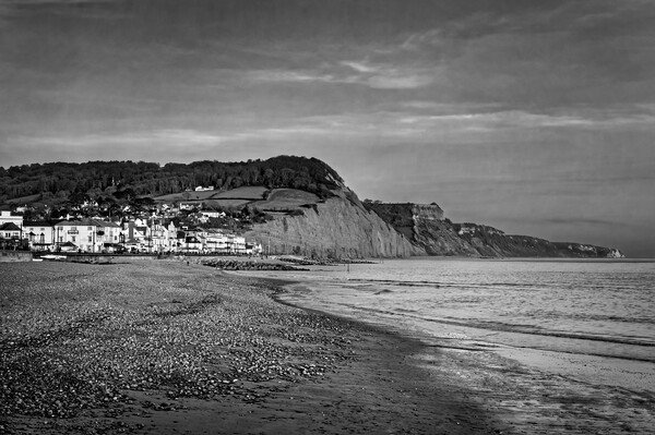 Sidmouth Seafront and Beach  Picture Board by Darren Galpin