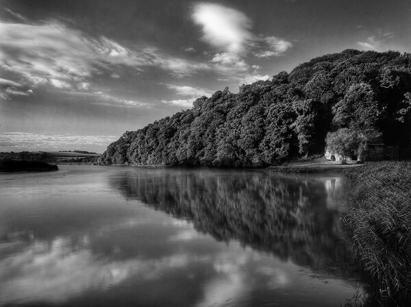 River Tamar at Cotehele Quay Picture Board by Darren Galpin