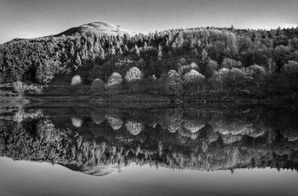 Ladybower Reflections   Picture Board by Darren Galpin