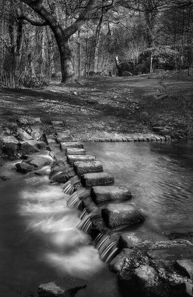 Porter Brook Stepping Stones and Falls  Picture Board by Darren Galpin