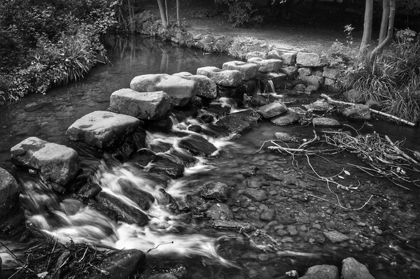Endcliffe Park Stepping Stones and Falls           Picture Board by Darren Galpin