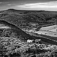 Buy canvas prints of Ladybower Lookout   by Darren Galpin
