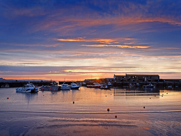 Lyme Regis Harbour Sunrise Picture Board by Darren Galpin