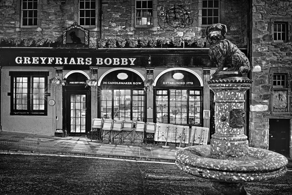 Greyfriars Bobby Edinburgh  Picture Board by Darren Galpin