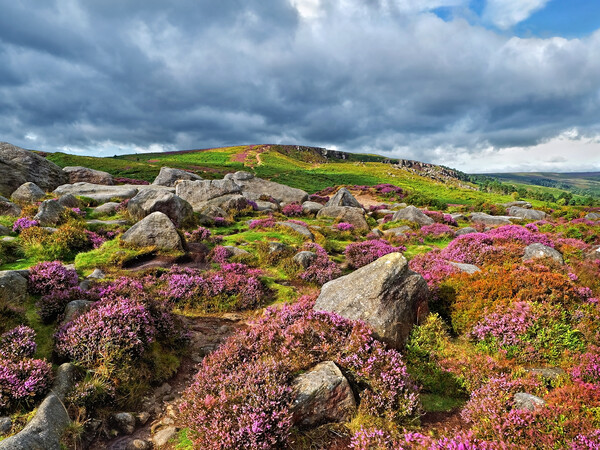 Ilkley Moor and Crags Picture Board by Darren Galpin