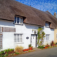 Buy canvas prints of Chideock Cottages Dorset by Darren Galpin