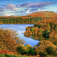 Buy canvas prints of Dartmoor Burrator Reservoir  by Darren Galpin