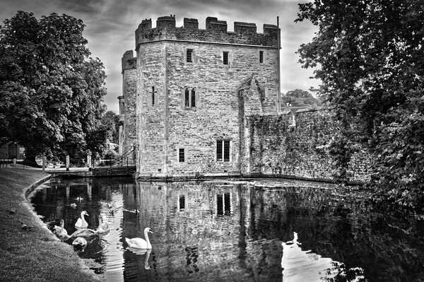 Wells Bishops Palace Picture Board by Darren Galpin