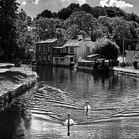 Buy canvas prints of Rodley Barge Leeds by Darren Galpin