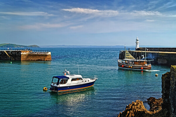 Mevagissey Harbour  Picture Board by Darren Galpin