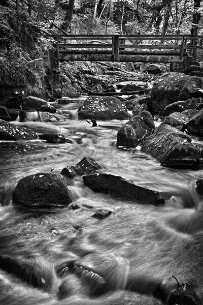 Padley Gorge Picture Board by Darren Galpin
