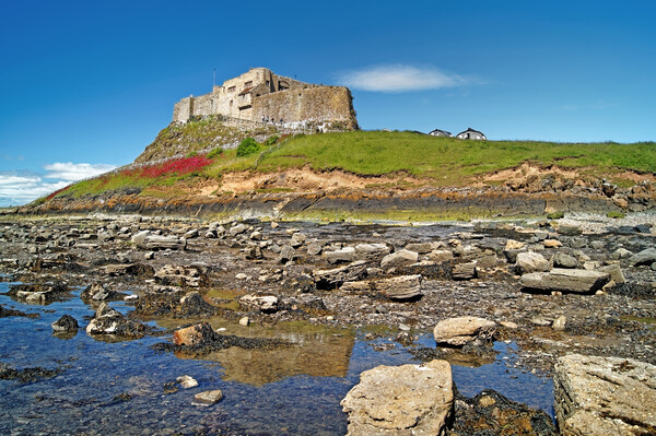 Lindisfarne Castle  Picture Board by Darren Galpin