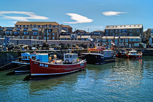 Seahouses Harbour Picture Board by Darren Galpin