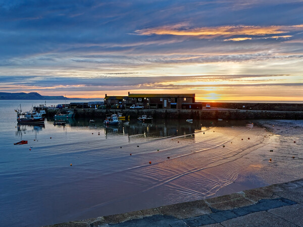 Lyme Regis Sunrise Picture Board by Darren Galpin