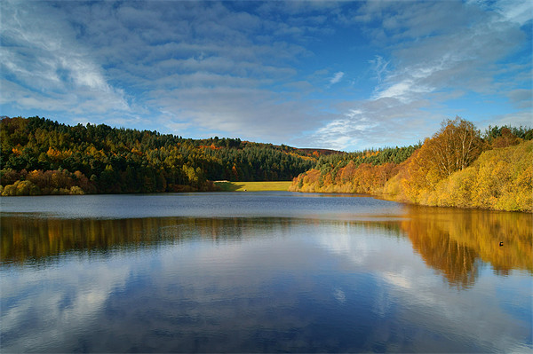 UK,South Yorkshire,Peak District,Rivelin Dams Picture Board by Darren Galpin