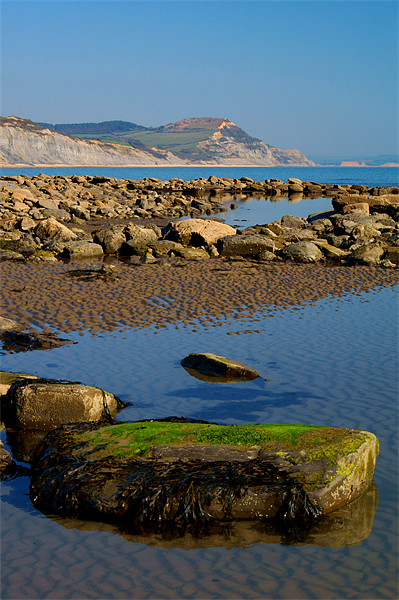 Golden Cap & Lyme Bay Picture Board by Darren Galpin