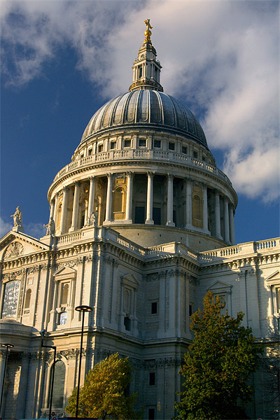 London St Pauls Cathedral Picture Board by Darren Galpin