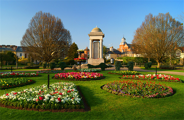Vivary Park Gardens & Cenotaph Picture Board by Darren Galpin