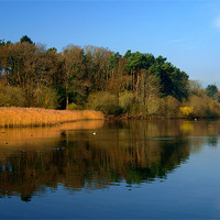 Buy canvas prints of Chard Reservoir & Nature Reserve by Darren Galpin