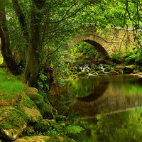 Buy canvas prints of River Bovey at North Bovey,Dartmoor by Darren Galpin