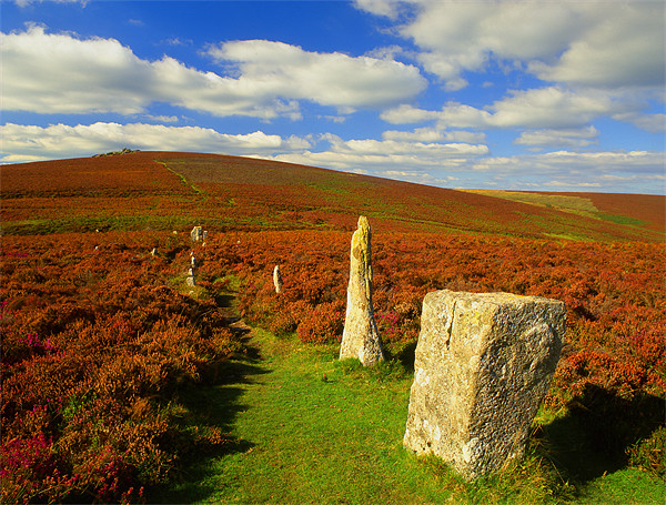 Challacombe Stone Rows Picture Board by Darren Galpin