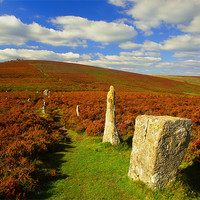 Buy canvas prints of Challacombe Stone Rows by Darren Galpin