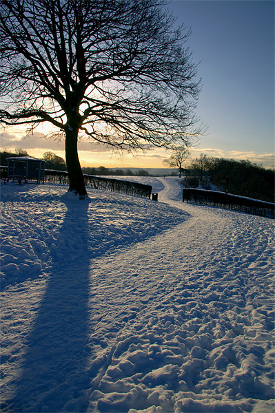 Footpath Through The Snow Picture Board by Darren Galpin