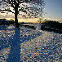 Buy canvas prints of Footpath Through The Snow by Darren Galpin