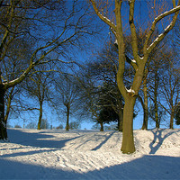 Buy canvas prints of Winter in the Park by Darren Galpin