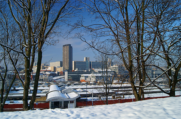 Sheffield viewed from Park Hill Picture Board by Darren Galpin