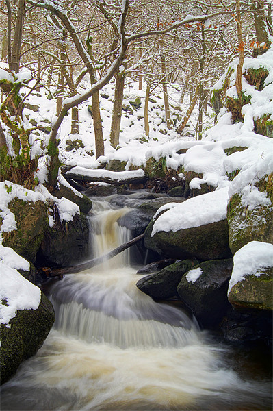 Winter In Padley Gorge Picture Board by Darren Galpin
