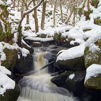 Buy canvas prints of Winter In Padley Gorge by Darren Galpin