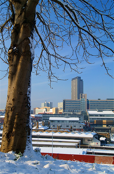 Sheffield City Centre viewed from Park Hill Picture Board by Darren Galpin
