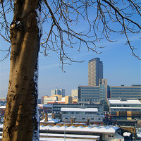 Buy canvas prints of Sheffield City Centre viewed from Park Hill by Darren Galpin